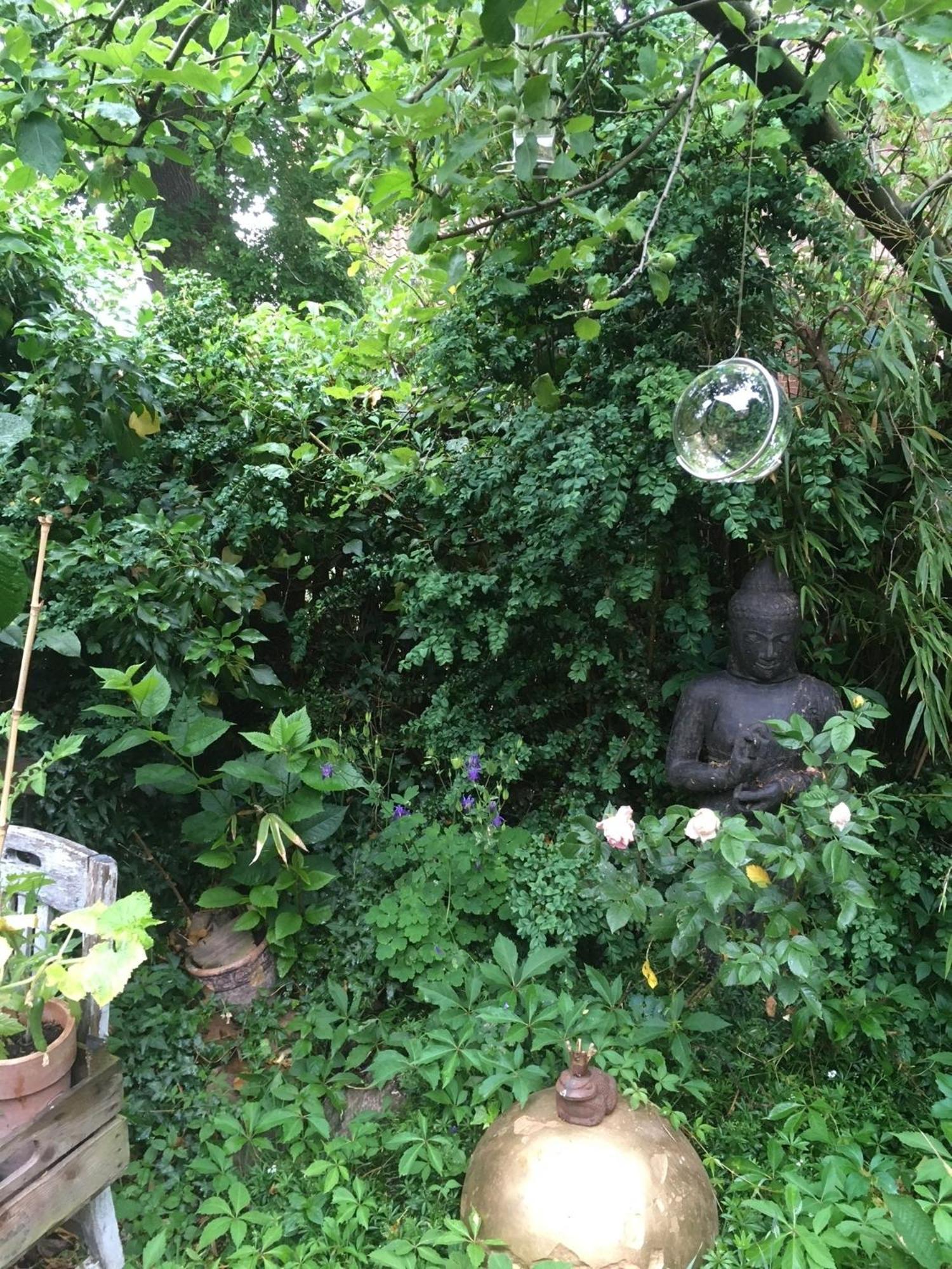 Grosse Hobbithoehle Mit Gemeinschaftsgarten 노이슈타트암루벤베르크 외부 사진