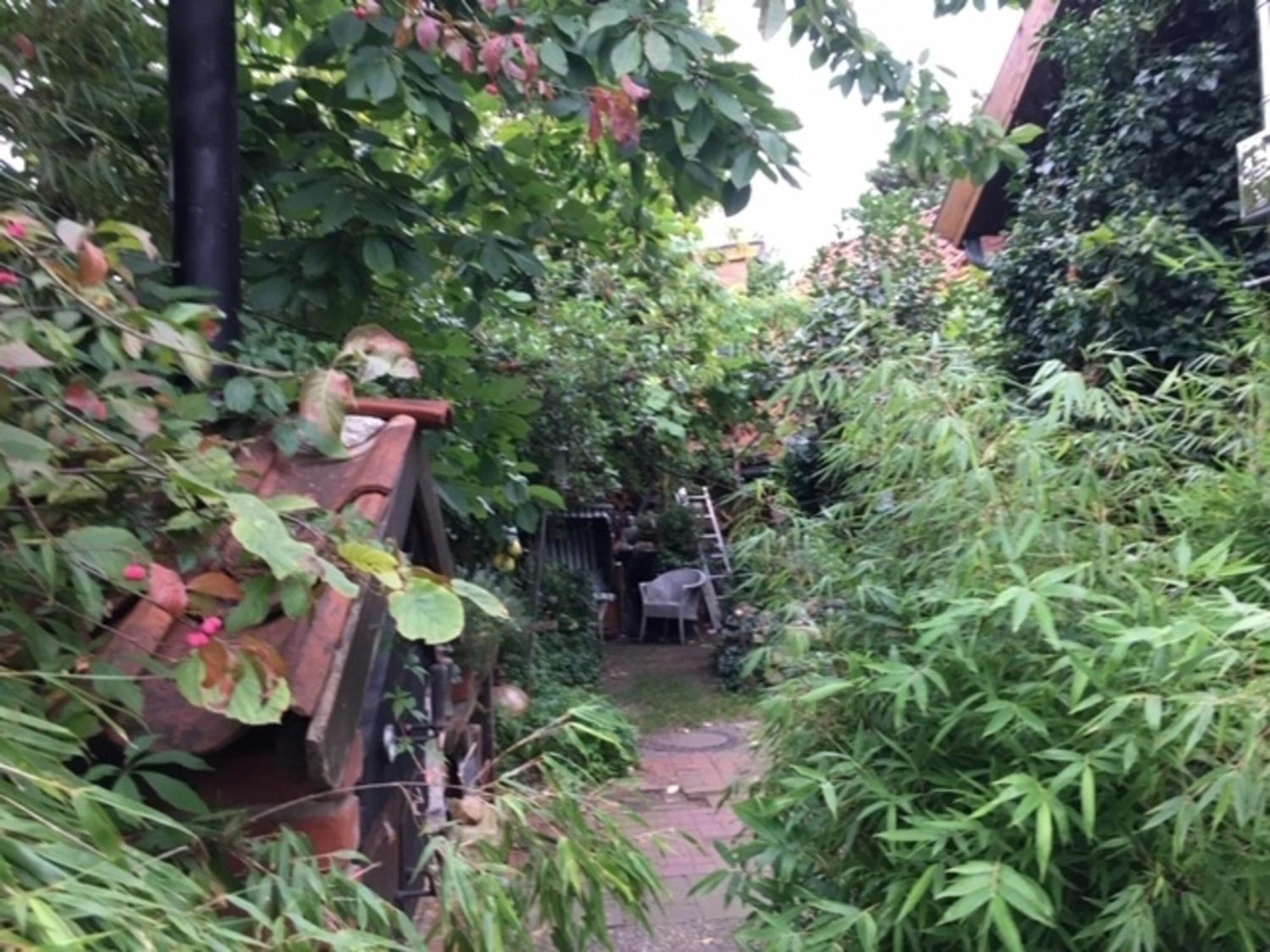 Grosse Hobbithoehle Mit Gemeinschaftsgarten 노이슈타트암루벤베르크 외부 사진