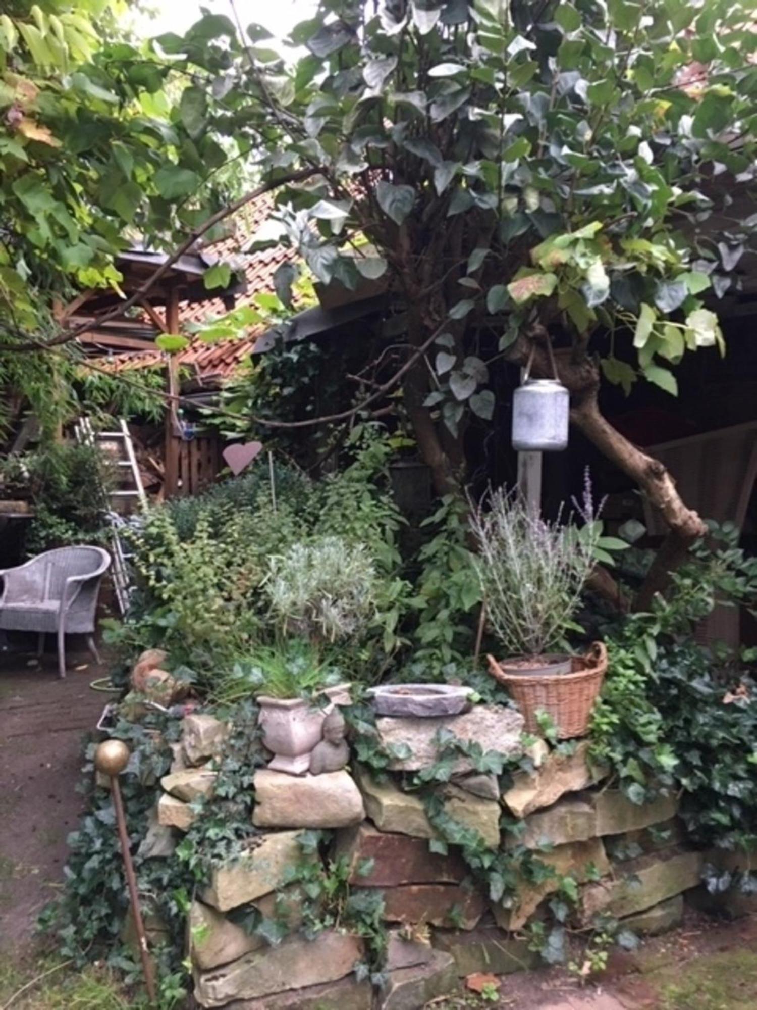 Grosse Hobbithoehle Mit Gemeinschaftsgarten 노이슈타트암루벤베르크 외부 사진